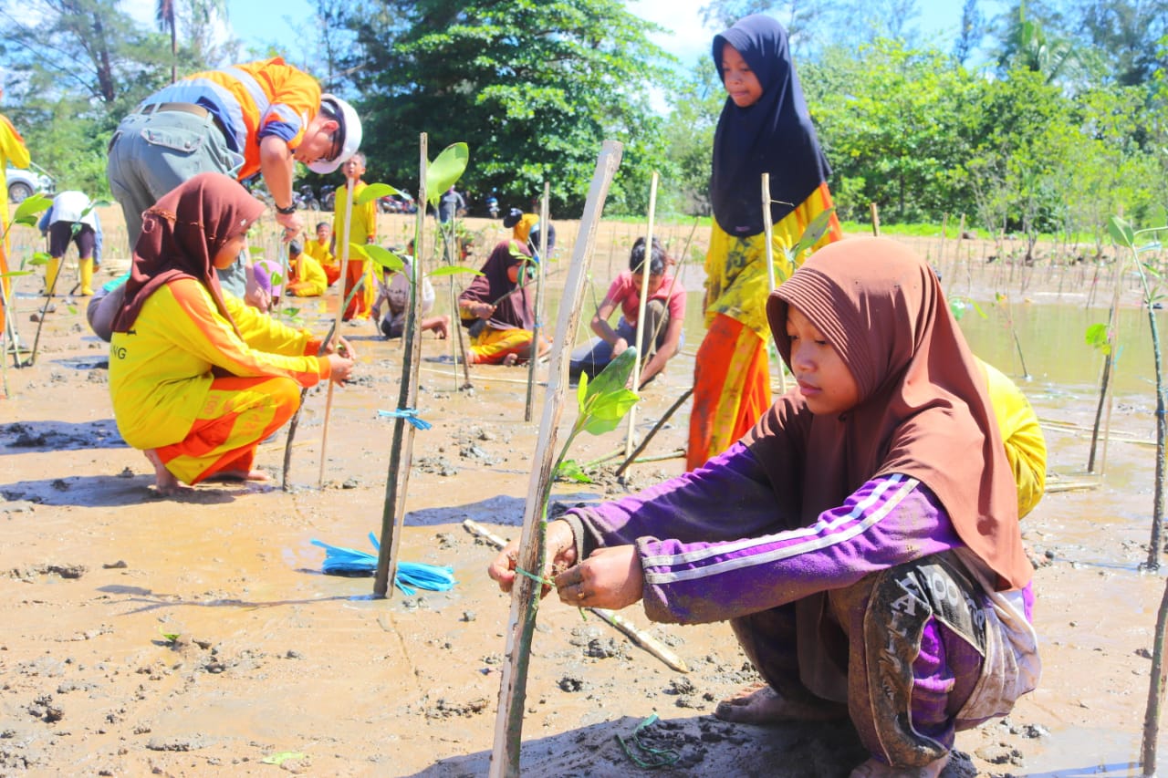 Pelajar turut dilibatkan dalam aksi tanam 10.000 mangrove yang dilakukan PT Indexim Coalindo.